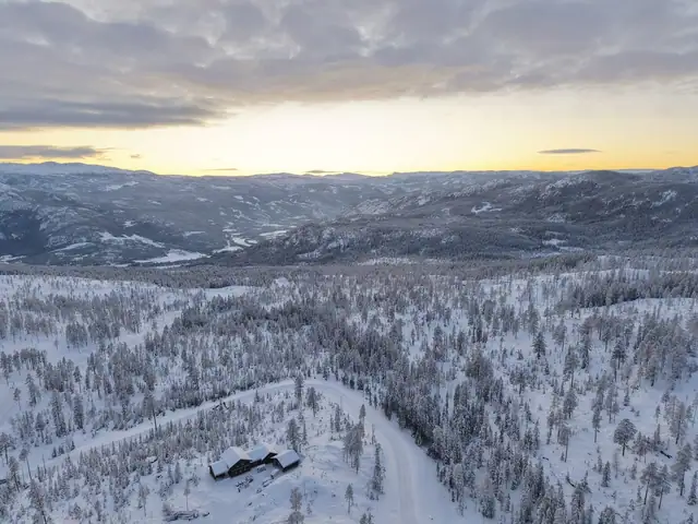 Turufjell - Slåttelia tomter, Flå
