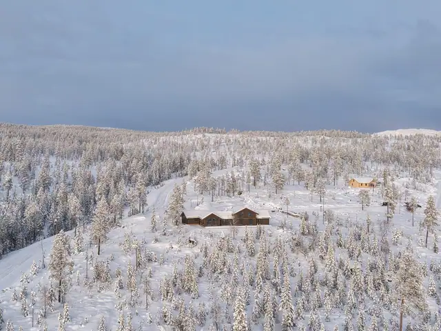 Slåttelia vinterlandskap