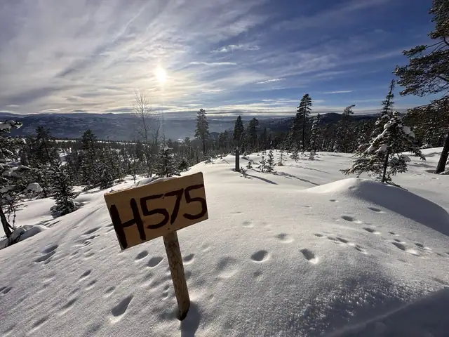 Utsikt fra Slåttelia
