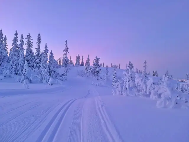 Turufjell - Høgsetra Trinn to — bilde 12
