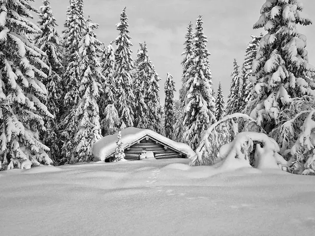 Turufjell - Høgsetra Trinn to — bilde 16