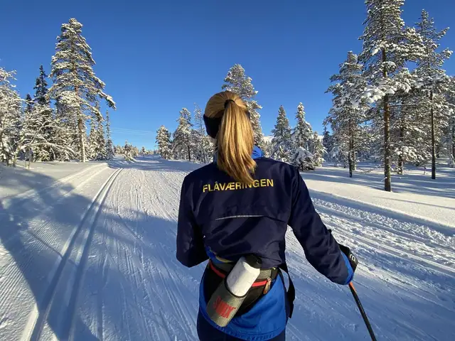 Turufjell - Høgsetra Trinn to — bilde 10