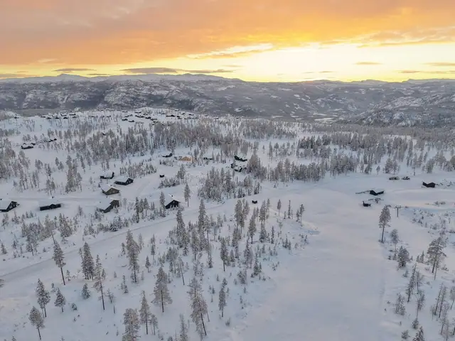 Turufjell - Slåtta Øst, Flå