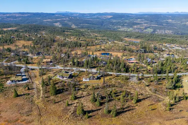 Attraktivt i Nesfjellet