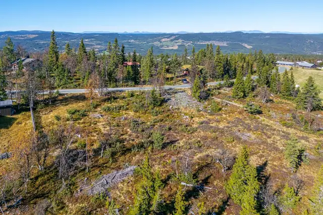 Utnyttelse pr. tomt over 1320 m2: Maks. %-BYA=16 %, men samlet utnyttelse skal ikke overskride BYA = 250 m2 per tomt inkl. parkering på 36 m2. Hovedhytte kan maksimalt være 190 m2.
