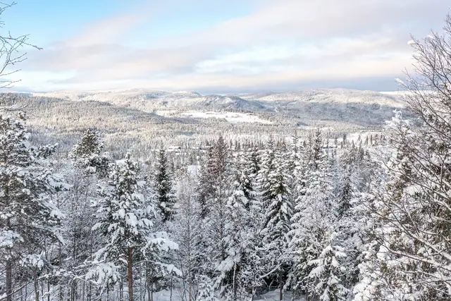 Hyggelig utsikt mot Trondrud og utover Nesfjellet