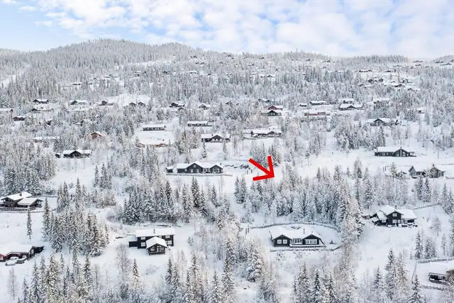 Etablert hyttefelt