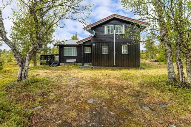Hytta og tomta har svært gode solforhold. Hyggelig og luftig utsikt
