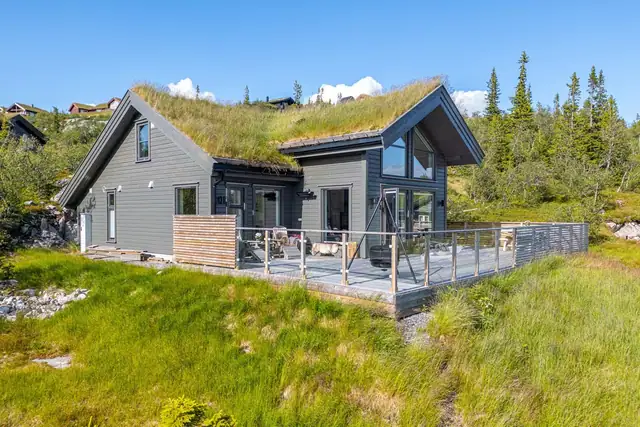 Berglivegen 10, Flå