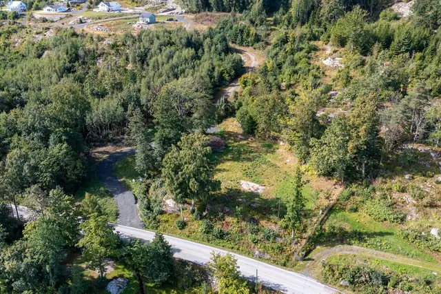 Dronefoto