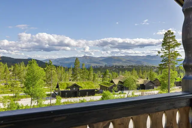 I det fjerne ser du Høgevarde og Gråfjell