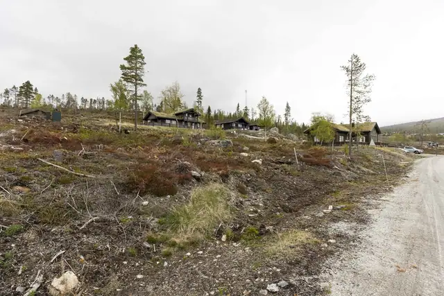 Turuhaugen18