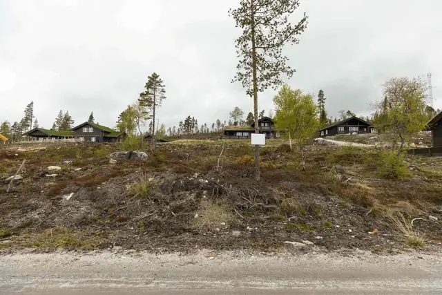 Turuhaugen18