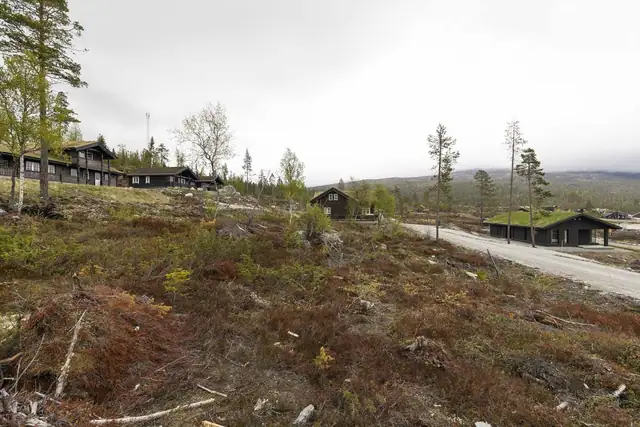 Turuhaugen18