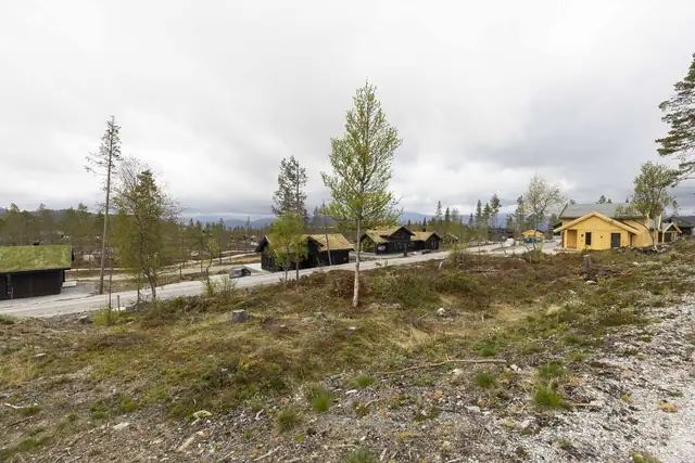 Turuhaugen18- Hyttene rundt har kommet opp og beliggenheten er dermed etablert