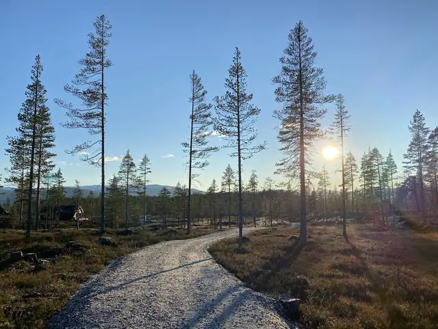 Istjernvegen 70 — image 12