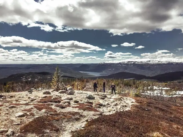 Istjernvegen 70 — image 13