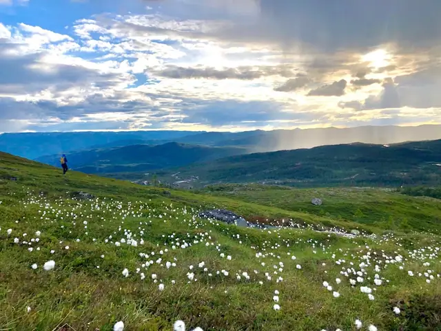Turufjell byr å både langrennsløyper, alpinbakker, turstier og pumptracks, Bjørnepark og fiskevann.