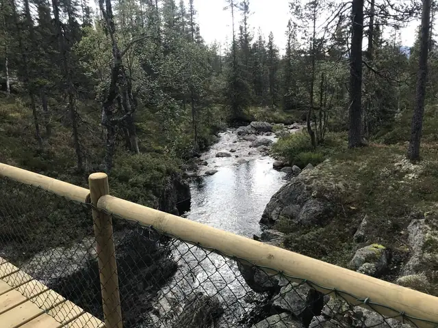 Istjernvegen 70 — image 10