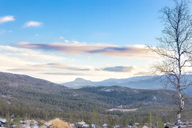 Nedre Høgsetervegen 27