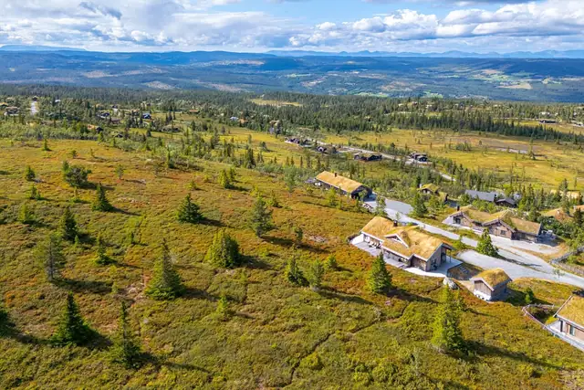 Spektakulær utsikt fra Hallingskarvet videre over Reinskarvet, Nordfjella og Skogshorn til du ender opp i Jotunheimen. Ikke mange steder du finner!