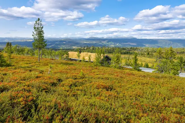 Fantastisk beliggende tomt. Utnyttelse per tomt: Maks. %-BYA = 16%, men samlet utnyttelse skal ikke overstige BYA = 250m² per tomt, inkludert parkering på 36m².