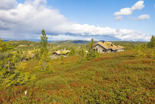 Utnyttelse per tomt: Maks. %-BYA = 16%, men samlet utnyttelse skal ikke overstige BYA = 250m² per tomt, inkludert parkering på 36m².