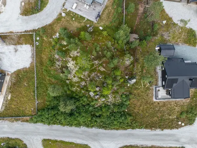 Tomten fremstår som i hovedsak naturtomt, med vegetasjon bestående av blant annet bjørk, lavere buskvekster og lyng.