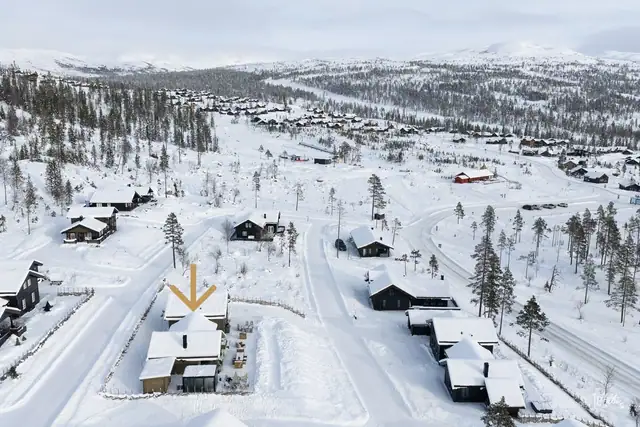Hytta har en særdeles sentral beliggenhet til skianlegget, bare 300 meter, som virkelig er ski inn/ski ut.