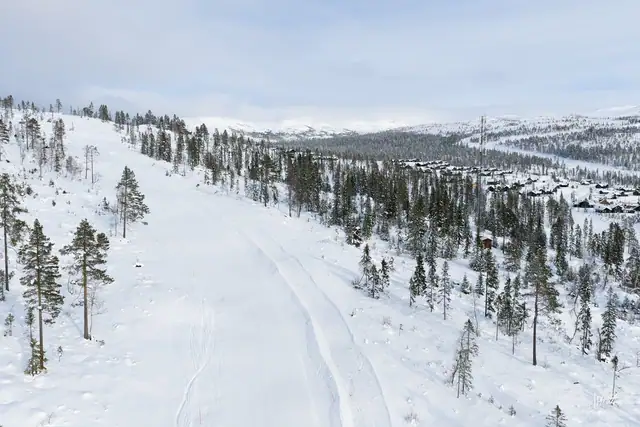 Bakken som nærmeste nabo.