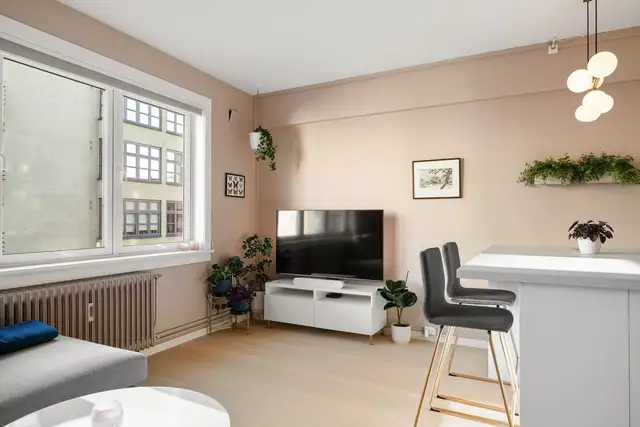 Fyring, varmtvann og internett er bl.a. inkludert i de månedlige fellesutgiftene.