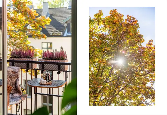 Med sydvestvendt orientering får du meget gode solforhold gjennom dagen